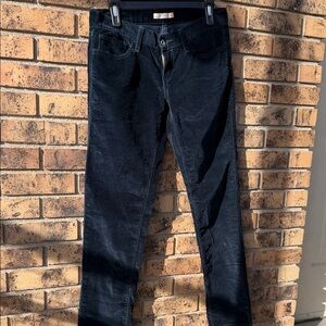 Levi's Navy Blue  Corduroy Pants